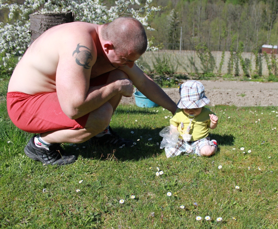 tady zkoumám poprvé travičku ... moc se mi nelíbí